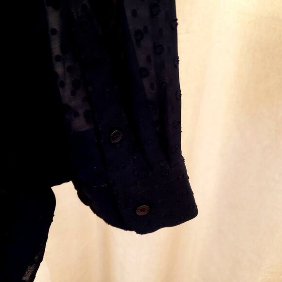 Talbots Blue Swiss Dot Blouse Sheer Long Sleeve Button Front | Size XL - Picture 5 of 11